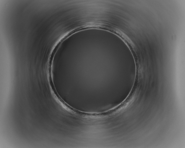 X0000112930941200908311315