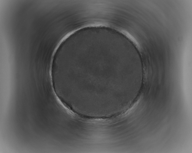 X0000112930943200908311315