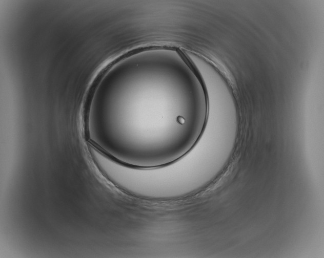 X0000112930944200908311315