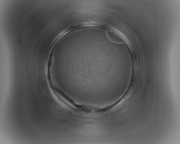 X0000112930946200908311315