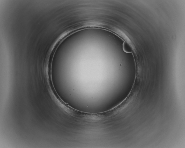 X0000112930947200908311315