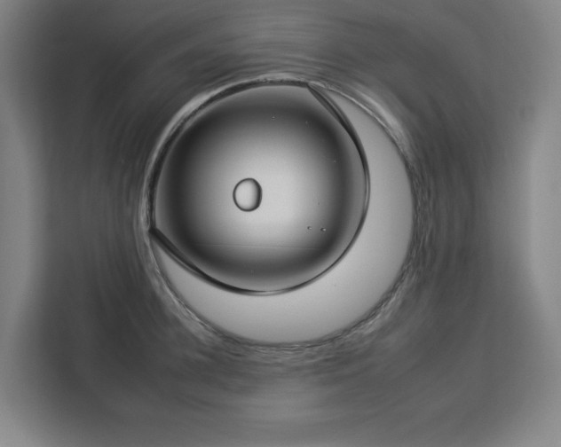 X0000112930948200908311315