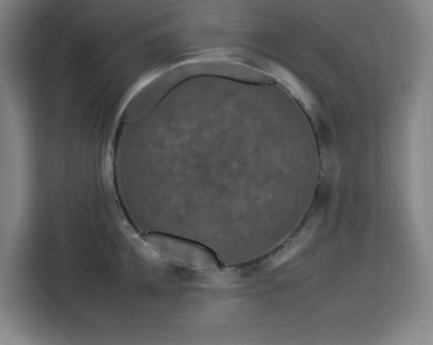 X0000112930952200908311315