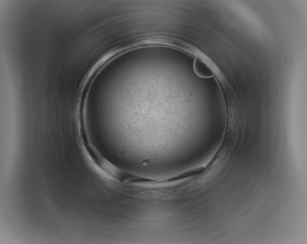 X0000112930955200908311315