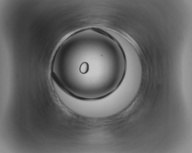 X0000112930956200908311315