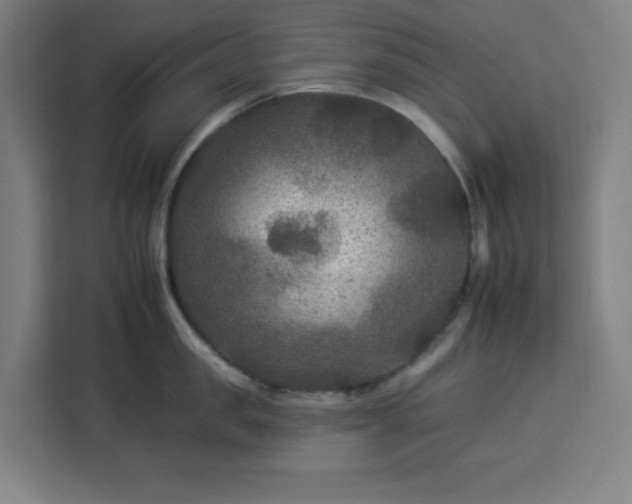 X0000112930957200908311315