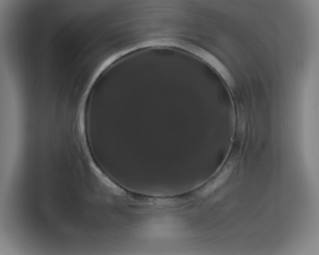 X0000112930958200908311315