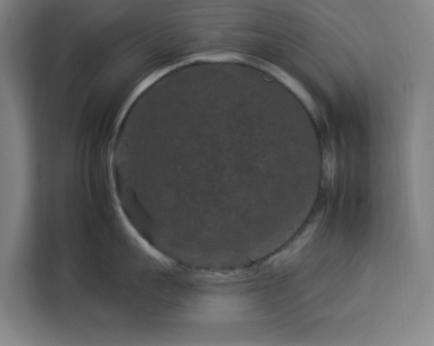 X0000112930959200908311315