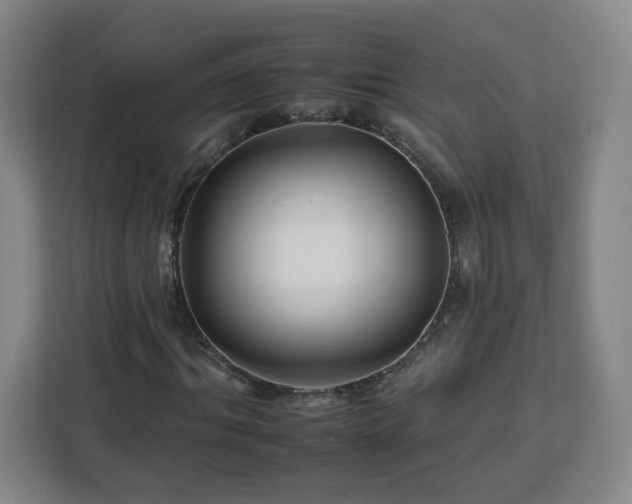 X0000112930964200908311314