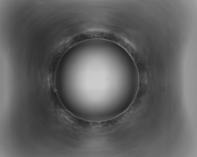 X0000112930965200908311314