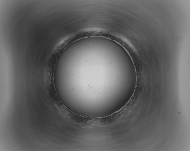 X0000112930967200908311314