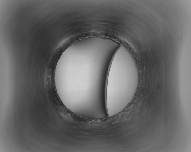 X0000112930968200908311314