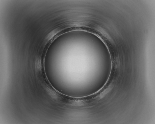 X0000112930969200908311314