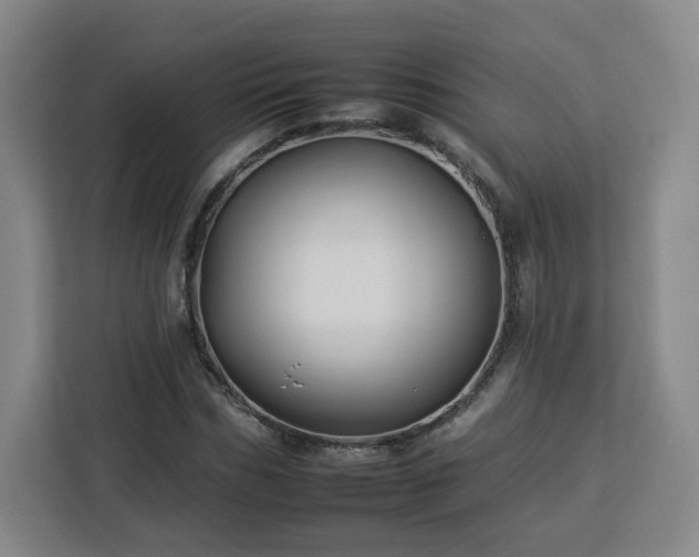 X0000112930970200908311314