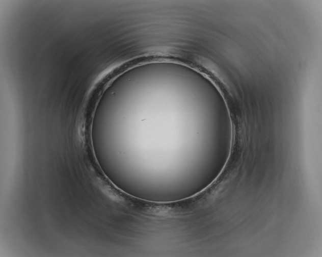 X0000112930971200908311314