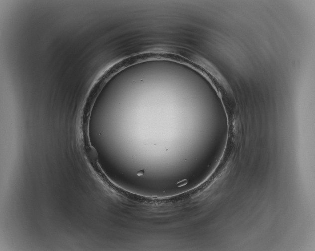 X0000112930972200908311314