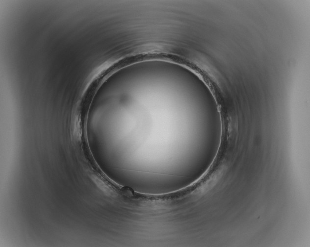 X0000112930973200908311314