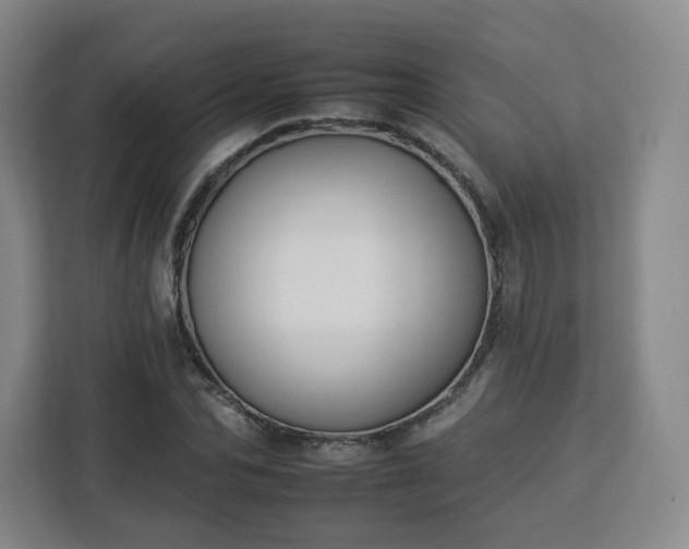 X0000112930974200908311314