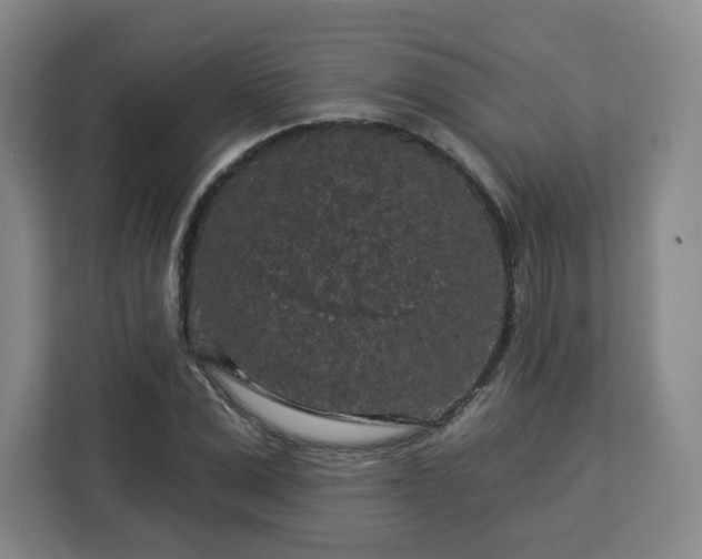 X0000112930975200908311314