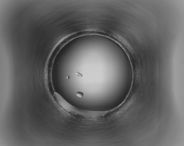 X0000112930976200908311314