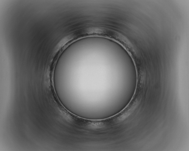 X0000112930978200908311314