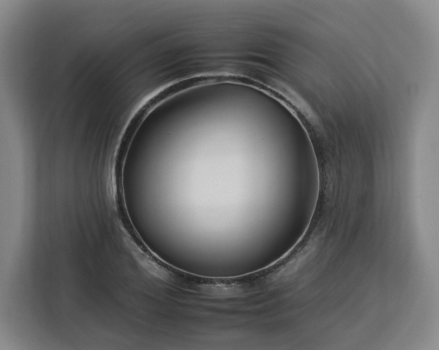 X0000112930980200908311314