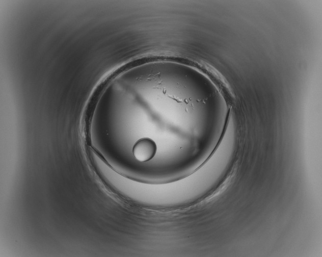 X0000112930981200908311314