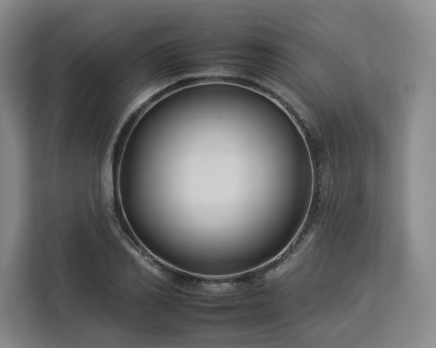 X0000112930982200908311314