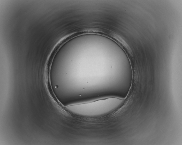 X0000112930984200908311314