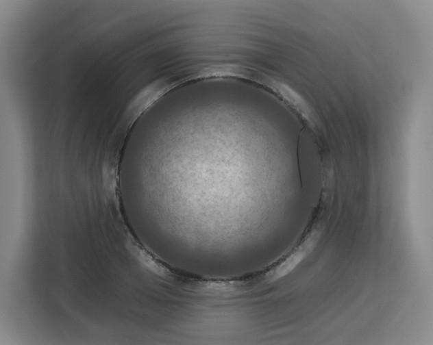 X0000112930985200908311314