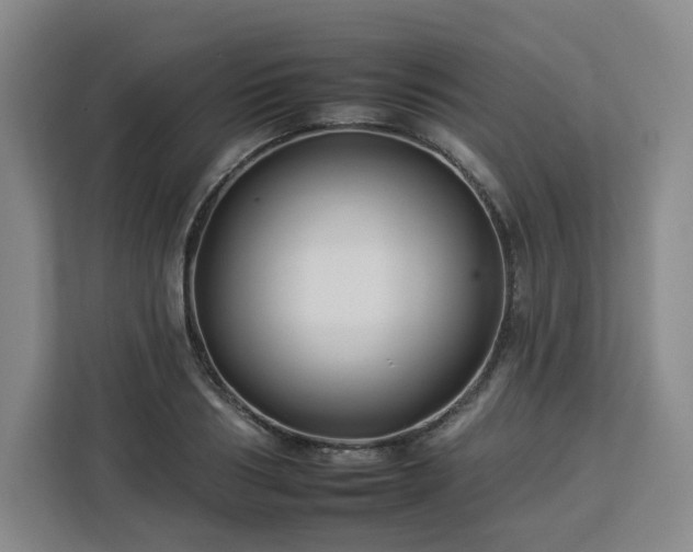 X0000112930986200908311314