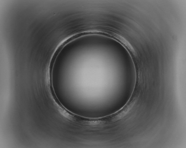 X0000112930988200908311314