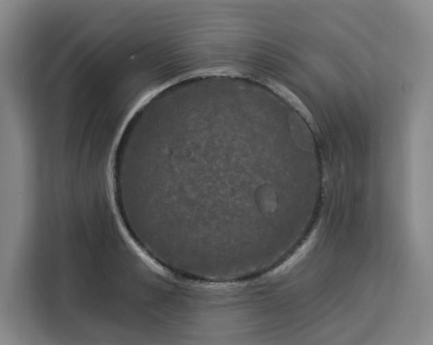 X0000112930989200908311314