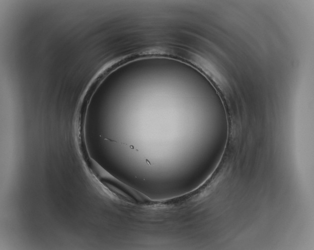 X0000112930992200908311314