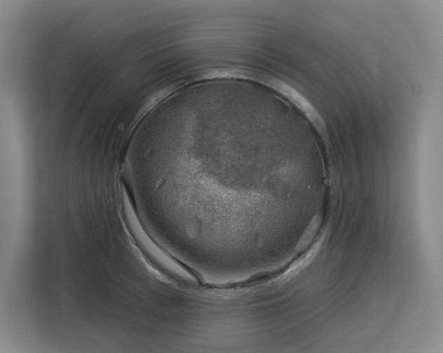 X0000112930993200908311314