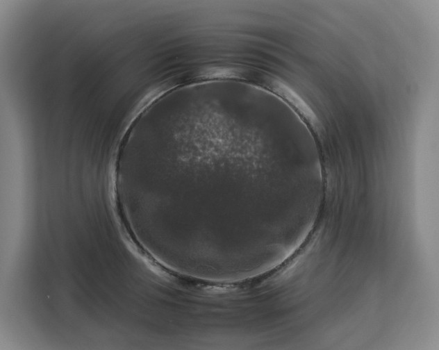 X0000112930994200908311314