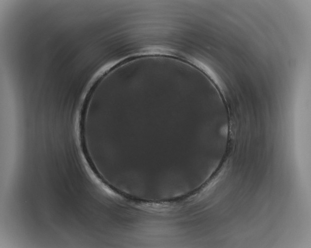 X0000112930995200908311314