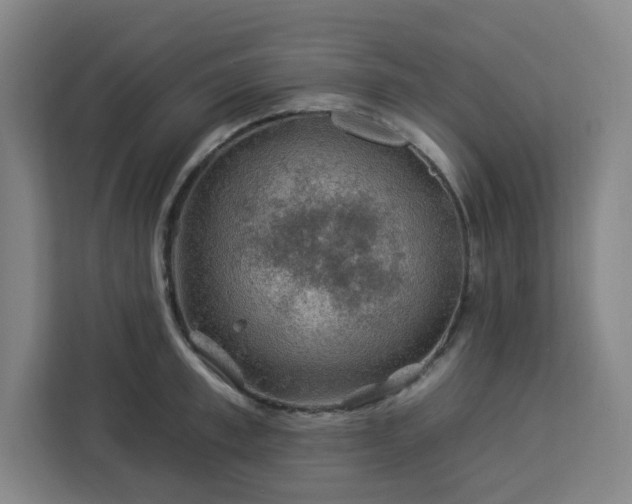 X0000112930997200908311314