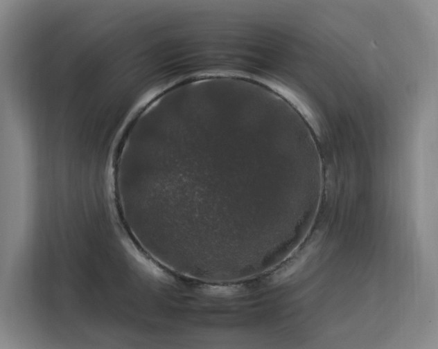 X0000112930998200908311314