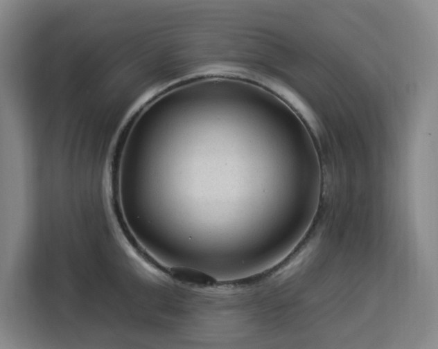 X0000112930999200908311314