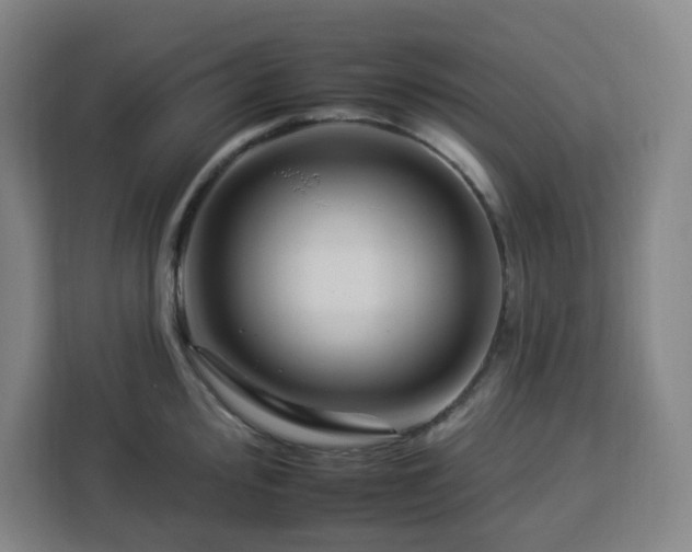 X0000112931000200908311314