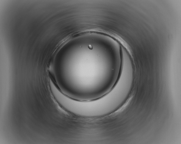 X0000112931001200908311314