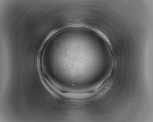 X0000112931005200908311314