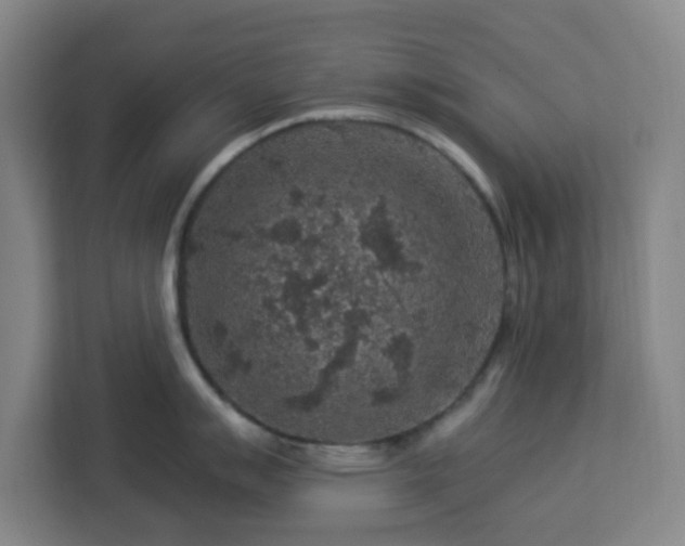 X0000112931007200908311314