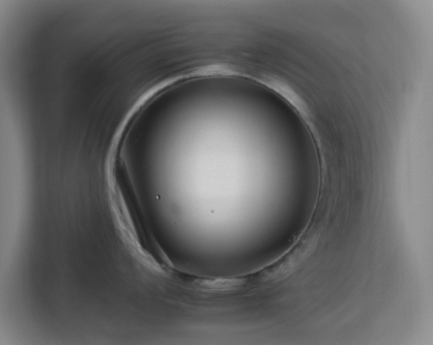 X0000112931008200908311314