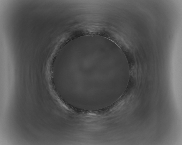 X0000112931009200908311313