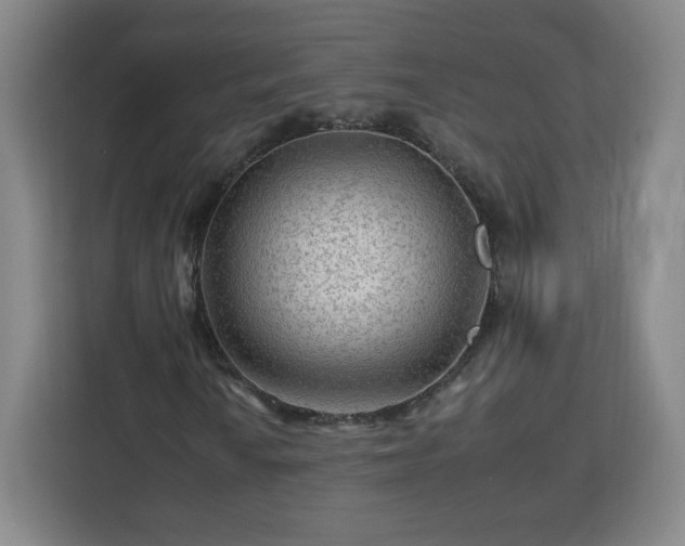 X0000112931010200908311313