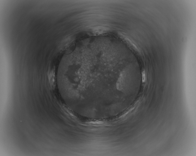 X0000112931011200908311313