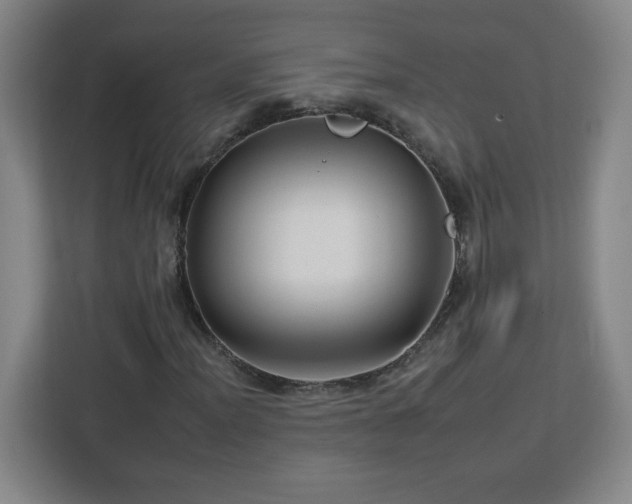 X0000112931012200908311313