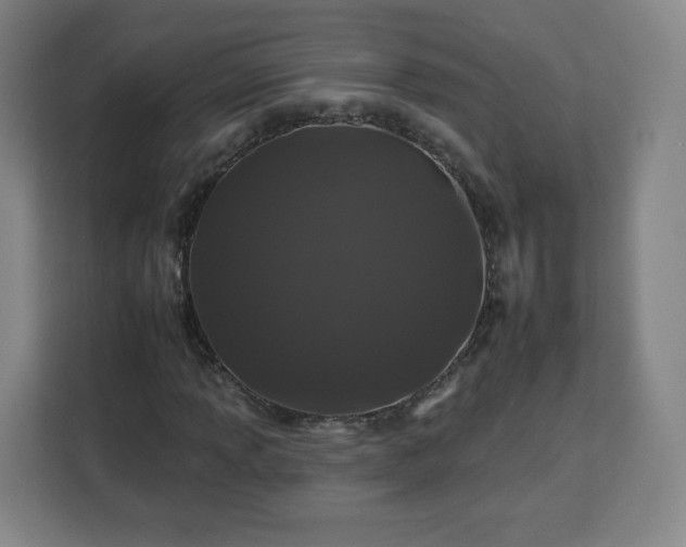 X0000112931013200908311313